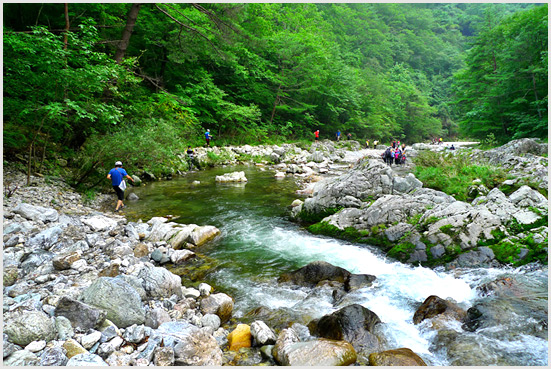 하계휴가 관련 사진
